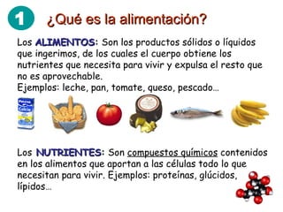 ¿Qué es la alimentación? Los  ALIMENTOS :  Son los productos sólidos o líquidos que ingerimos, de los cuales el cuerpo obtiene los nutrientes que necesita para vivir y expulsa el resto que no es aprovechable. Ejemplos: leche, pan, tomate, queso, pescado… Los   NUTRIENTES :  Son  compuestos químicos  contenidos en los alimentos que aportan a las células todo lo que necesitan para vivir. Ejemplos: proteínas, glúcidos, lípidos…  1 