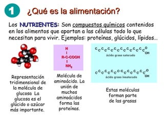 ¿Qué es la alimentación? Los   NUTRIENTES :  Son  compuestos químicos  contenidos en los alimentos que aportan a las células todo lo que necesitan para vivir. Ejemplos: proteínas, glúcidos, lípidos…  Representación tridimensional de la molécula de glucosa  La glucosa es el glúcido o azúcar más importante.   Molécula de aminoácido. La unión de muchos aminoácidos forma las proteínas. Estas moléculas forman parte de las grasas 1 