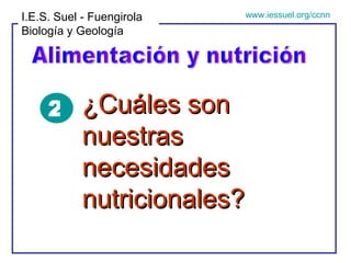 Alimentación y nutrición I.E.S. Suel - Fuengirola Biología y Geología www.iessuel.org/ccnn ¿Cuáles son nuestras necesidades nutricionales? 2 