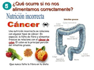 5 ¿Qué ocurre si no nos¿Qué ocurre si no nos
alimentamos correctamente?alimentamos correctamente?
Una nutrición incorrecta se relaciona
con algunos tipos de cáncer. En
especial, la falta de fibra y alimentos
frescos se relaciona con el cáncer decáncer de
coloncolon. El colon es la principal porción
del intestino grueso.
Que nunca falte la fibra en tu dieta
 