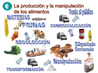 La producción y la manipulación de los alimentos COMERCIALIZACIÓN TRANSFORMACIÓN Envasado Manipulación Venta al público Etiquetado MATERIAS PRIMAS RECOLECCIÓN 6