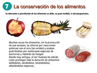 La conservación de los alimentos La alteración y putrefacción de los alimentos se debe, en gran medida, a microorganismos. Muchas veces los alimentos, sin la protección de sus envases, se alteran por reacciones químicas con el aire (se oxidan) y acaban pudriéndose por numerosas especies de bacterias y también de hongos. Desde muy antiguo, el ser humano ha sabido como prolongar más la duración de alimentos: salándolos, secándolos, ahumándolos, añadiéndoles especias… 7