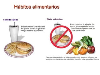 Hábitos alimentarios