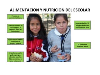 ALIMENTACION Y NUTRICION DEL ESCOLAR
    Periodo de
crecimiento latente


                               Recomendación: 70
Almacenamiento de              kilocalorías diarias
  recursos para el             por kilogramo peso
 segundo brote de
    crecimiento



Aparición de cambio
   corporales de
  manera gradual
                                 28 gramos de
                                proteínas diaria


 Importante que lo
   padres pongan
  atención pues los
 hijos comienzan a
  tener autonomía
 
