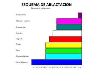 ESQUEMA DE ABLACTACION
 