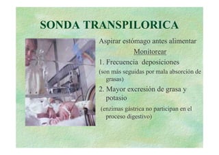 SONDA TRANSPILORICA
        Aspirar estómago antes alimentar
                    Monitorear
        1. Frecuencia deposiciones
        (son más seguidas por mala absorción de
           grasas)
        2. Mayor excresión de grasa y
           potasio
        (enzimas gástrica no participan en el
          proceso digestivo)
 
