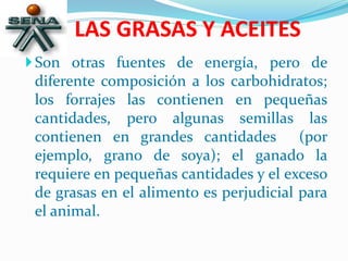 LAS GRASAS Y ACEITES
Son otras fuentes de energía, pero de
diferente composición a los carbohidratos;
los forrajes las contienen en pequeñas
cantidades, pero algunas semillas las
contienen en grandes cantidades (por
ejemplo, grano de soya); el ganado la
requiere en pequeñas cantidades y el exceso
de grasas en el alimento es perjudicial para
el animal.
 