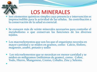 LOS MINERALES
 Son elementos químicos simples cuya presencia e intervención es
imprescindible para la actividad de las células. Su contribución a
la conservación de la salud es esencial.
 Se conocen más de veinte minerales necesarios para controlar el
metabolismo o que conservan las funciones de los diversos
tejidos.
 Los macroelementos que son los que el organismo necesita en
mayor cantidad y se miden en gramos, como: Calcio, fósforo,
magnesio, azufre, potasio y sodio
 Los microelementos que se necesitan en menor cantidad y se
miden en miligramos (milésimas de gramo), como: Cobre,
Yodo, Hierro, Manganeso, Cromo, Cobalto, Zinc y Selenio.

 