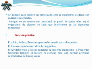 En ningún caso pueden ser sintetizados por el organismo, es decir, son
nutrientes esenciales.
Aunque no se conoce con exactitud el papel de todos ellos en el
organismo, de algunos se sabe que intervienen en las siguientes
funciones:
 Función plástica
El calcio, fósforo, flúor y magnesio dan consistencia al esqueleto.
El hierro es componente de la hemoglobina.
Si hay deficiencia de estos minerales se presenta raquitismo y frecuentes
fracturas; también el fósforo es esencial para una normal actividad
reproductiva de toros y vacas.
 