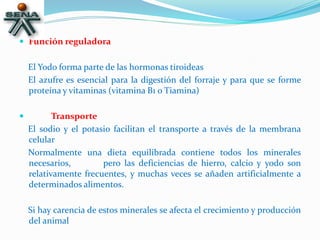  Función reguladora
El Yodo forma parte de las hormonas tiroideas
El azufre es esencial para la digestión del forraje y para que se forme
proteína y vitaminas (vitamina B1 o Tiamina)
 Transporte
El sodio y el potasio facilitan el transporte a través de la membrana
celular
Normalmente una dieta equilibrada contiene todos los minerales
necesarios, pero las deficiencias de hierro, calcio y yodo son
relativamente frecuentes, y muchas veces se añaden artificialmente a
determinados alimentos.
Si hay carencia de estos minerales se afecta el crecimiento y producción
del animal
 