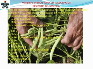 MATERIAS PRIMAS PARA SU ELABORACION
RESIDUOS DE COSECHA
 Son los materiales que quedan después de recoger el producto principal
del cultivo. A continuación se presentan los más abundantes:
Los Residuos de Cosecha del Maíz son:
• Cascarón Capacho
• Mata Seca o Rastrojo
Los Residuos de cosecha de yuca son:
• Hojas
• Tallos
• "Rabos"
Los Residuos de cosecha de fríjol y guandul son:
• Hojas
• Vainas
• Tallos Tiernos
Los Residuos de cosecha del plátano son:
• Hojas
• Vástago óraquis
• Cepa o seudotallo
 