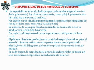 DISPONIBILIDAD DE LOS RESIDUOS DE COSECHAS
 Los especialistas han calculado que por cada unidad de producto (es
decir, grano seco), las plantas como maíz, arroz y fríjol, producen una
cantidad igual de tamo o residuo.
Por ejemplo: por cada kilogramo de grano se produce un kilogramo de
residuo (mata seca, cascarón y tusa de maíz)
En cuanto a la yuca, por cada tres unidades de tubérculo o raíz, se
produce una unidad de hoja verde.
Por cada tres kilogramos de yuca se produce un kilogramo de hoja
verde.
El plátano y banano, producen una cantidad mayor de residuo, pues el
peso de la fruta se estima en ocho partes menos que el peso de la
planta ,Por cada kilogramo de banano o plátano se produce ocho de
residuo.
En cada región, la cantidad total de residuos disponibles depende del
área sembrada en el período inmediatamente anterior.
 