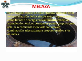 MELAZA
 Es un líquido espeso de color obscuro, derivado de la
industrialización de la caña de azúcar y que se utiliza
como fuente de energía en la alimentación de los
animales domésticos. Aunque se puede proporcionar
sola, se recomienda mezclarla con urea en
combinación adecuada para proporcionarlos a los
animales.
 