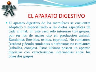 EL APARATO DIGESTIVO
 El aparato digestivo de los mamíferos se encuentra
adaptado y especializado a las dietas específicas de
cada animal. En este caso sólo interesan tres grupos,
por ser los de mayor uso en producción animal:
Rumiantes (bovinos, ovinos, caprinos), No rumiantes
(cerdos) y Seudo rumiantes o herbívoros no rumiantes
(caballos, conejos). Estos últimos poseen un aparato
digestivo con características intermedias entre los
otros dos grupos
 