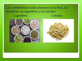 Los carbohidratos están presentes en la fruta, las
hortalizas, las legumbres y los cereales.
Legumbres Cereales
 