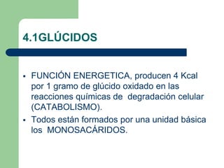 4.1GLÚCIDOS
 FUNCIÓN ENERGETICA, producen 4 Kcal
por 1 gramo de glúcido oxidado en las
reacciones químicas de degradación celular
(CATABOLISMO).
 Todos están formados por una unidad básica
los MONOSACÁRIDOS.
 