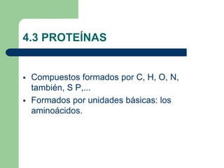 4.3 PROTEÍNAS
 Compuestos formados por C, H, O, N,
también, S P,...
 Formados por unidades básicas: los
aminoácidos.
 