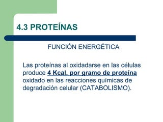 4.3 PROTEÍNAS
FUNCIÓN ENERGÉTICA
Las proteínas al oxidadarse en las células
produce 4 Kcal. por gramo de proteína
oxidado en las reacciones químicas de
degradación celular (CATABOLISMO).
 