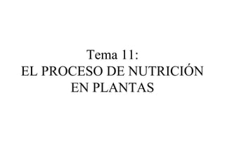 Tema 11:
EL PROCESO DE NUTRICIÓN
EN PLANTAS
 