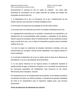 Rigoberto Hernández Jiménez                             Materia: nutrición vegetal
Tema: interpretación de análisis de suelo               Semestre: VI

Aprovechando la sacarosa la raíz es capaz de sintetizar               con existo toda
diversidad de compuestos, de los cuales seforman las células que realizan las
principales funciones dela raíz.

1: el metabolismo de la raíz, el crecimiento de la raíz i mantenimiento de las
células maduras, que funcionan en estado fisiológico activo,

2.-la formación de sustancias que segregan la raíz del medio exterior.

3.-la construcción de sustancias que entran con lasabia sintetizadora de la raíz.

La segregaciones radiculares por la cantidad y composición son especificas y se
predetermina por la peculiaridades delas especies y variedades de las plantas.
Sabinin expuso la concepción sobre la trasformaciones de las sustancias al pasar
estas a través de la raíz, y en lo ulterior el desarrollo la posición sobre la actividad
sintética de la raíz.

1.-la raíz es capaz no solamente de absorber elementos minerales, sino que
transformarlos por completo o parcial mente trasladarlos a los órganos aéreos en
forma modificada.

2- la actividad sintetizadora de la raíz se realiza sobre la base de la afluencia de
asimiladores a la raíz o sea depende de la fotosíntesis.

3.- la raíz ejerce influencia en los órganos aéreos no solamente mediante el
abastecimiento de agua y elementos minerales, en si no también de productos de
las reacciones específicas del metabolismo. Que transcurre en las raíces-
fitohormonas de la naturaleza inauxina.

Es interesante que con el envejecimiento de las plantas, en las células aumente la
concetracion de calcio y se reduce el potasio. La presencia en grandes cantidades
de iones K es característica para el organismo vegetal joven, que funciona
activamente.

Teoría de adsorción de elementos de nutrición
 