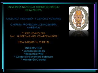 UNIVERSIDA NACIONAL TORIBIO RODRIGUEZ
DE MENDOZA
FACULTAD: INGENIERÍA Y CIENCIAS AGRARIAS
CARRERA PROFESIONAL DE INGENIERÍA
AMBIENTAL
CURSO: EDAFOLGÍA
Prof. : HUBERT MANUEL VELARDE MUÑOZ
TEMA: NUTRICIÓN VEGETAL
INTEGRANTES:
* Lozada castillo Iris
* Rojas Roja Willy
* Córdova Pachamora Robinson
* Montalván Coronel
 