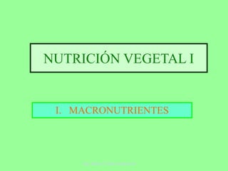 NUTRICIÓN VEGETAL I
I. MACRONUTRIENTES
Ing. Mario O’Hara Gaberscik
 
