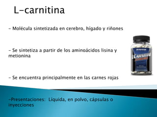 L-carnitina
- Molécula sintetizada en cerebro, hígado y riñones



- Se sintetiza a partir de los aminoácidos lisina y
metionina



- Se encuentra principalmente en las carnes rojas



-Presentaciones: Líquida, en polvo, cápsulas o
inyecciones
 