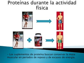 Proteínas durante la actividad
            física




- Los suplementos de proteína buscan conservar la masa
muscular en periodos de reposo y de escases de energía.
 