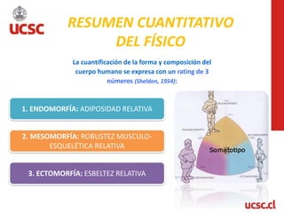 NUTRICION Y ACT FCA Y DEPORTE.pdf