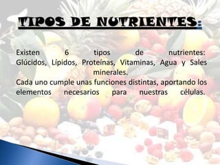 Existen       6       tipos       de        nutrientes:
Glúcidos, Lípidos, Proteínas, Vitaminas, Agua y Sales
                      minerales.
Cada uno cumple unas funciones distintas, aportando los
elementos     necesarios    para   nuestras    células.
 