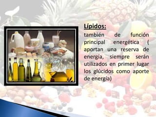 Lípidos:
también      de   función
principal energética (
aportan una reserva de
energía, siempre serán
utilizados en primer lugar
los glúcidos como aporte
de energía)
 