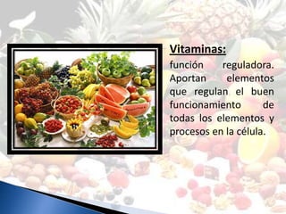 Vitaminas:
función    reguladora.
Aportan     elementos
que regulan el buen
funcionamiento       de
todas los elementos y
procesos en la célula.
 