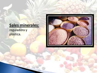 Sales minerales:
reguladora y
plástica.
 