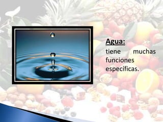 Agua:
tiene     muchas
funciones
específicas.
 