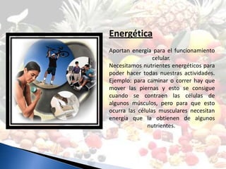 Energética
Aportan energía para el funcionamiento
                 celular.
Necesitamos nutrientes energéticos para
poder hacer todas nuestras actividades.
Ejemplo: para caminar o correr hay que
mover las piernas y esto se consigue
cuando se contraen las células de
algunos músculos, pero para que esto
ocurra las células musculares necesitan
energía que la obtienen de algunos
               nutrientes.
 