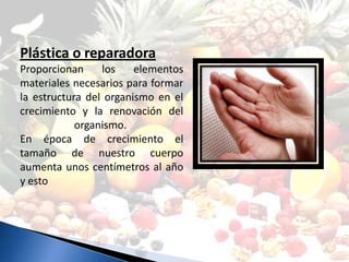 Plástica o reparadora
Proporcionan     los    elementos
materiales necesarios para formar
la estructura del organismo en el
crecimiento y la renovación del
            organismo.
En época de crecimiento el
tamaño de nuestro cuerpo
aumenta unos centímetros al año
y esto
 