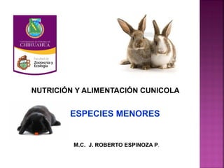 NUTRICIÓN Y ALIMENTACIÓN CUNICOLA
ESPECIES MENORES
M.C. J. ROBERTO ESPINOZA P.
 