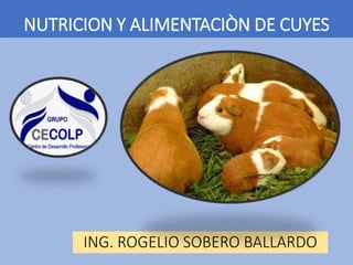 NUTRICION Y ALIMENTACIÒN DE CUYES
ING. ROGELIO SOBERO BALLARDO
 