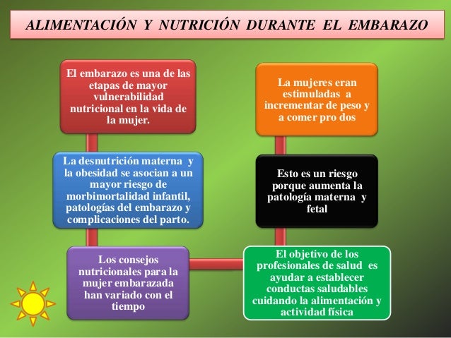 Nutricion Y Alimentacion Durante El Embarazo
