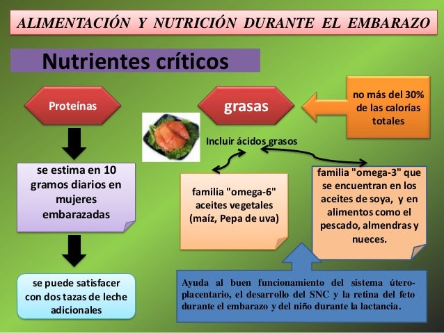 La Alimentación De La Madre Lactante