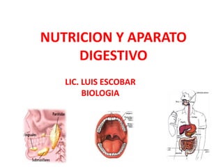 NUTRICION Y APARATO
DIGESTIVO
LIC. LUIS ESCOBAR
BIOLOGIA
 