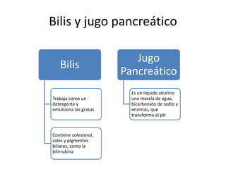 Bilis y jugo pancreático
Bilis
Trabaja como un
detergente y
emulsiona las grasas
Contiene colesterol,
sales y pigmentos
biliares, como la
bilirrubina
Jugo
Pancreático
Es un líquido alcalino
una mezcla de agua,
bicarbonato de sodio y
enzimas, que
transforma el pH
 