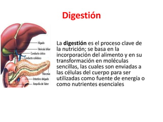 Digestión
La digestión es el proceso clave de
la nutrición; se basa en la
incorporación del alimento y en su
transformación en moléculas
sencillas, las cuales son enviadas a
las células del cuerpo para ser
utilizadas como fuente de energía o
como nutrientes esenciales
 
