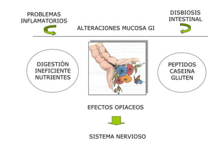 DISBIOSIS
INTESTINAL

PROBLEMAS
INFLAMATORIOS
ALTERACIONES MUCOSA GI

DIGESTIÒN
INEFICIENTE
NUTRIENTES

PEPTIDOS
CASEINA
GLUTEN

EFECTOS OPIACEOS

SISTEMA NERVIOSO

 