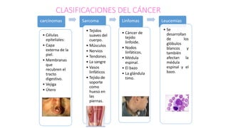 CLASIFICACIONES DEL CÁNCER
carcinomas
• Células
epiteliales:
• Capa
externa de la
piel.
• Membranas
que
recubren el
tracto
digestivo.
• Vejiga
• Útero
Sarcoma
• Tejidos
suaves del
cuerpo.
• Músculos
• Nervios
• Tendones
• La sangre
• Vasos
linfáticos
• Tejido de
soporte
como
hueso en
las
piernas.
Linfomas
• Cáncer de
tejido
linfoide.
• Nodos
linfáticos.
• Médula
espinal.
• El bazo
• La glándula
timo.
Leucemias
• Se
desarrollan
de los
glóbulos
blancos y
también
afectan la
médula
espinal y el
bazo.
 