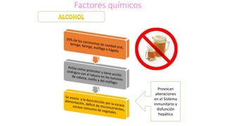 Factores químicos
Provocan
alteraciones
en el Sistema
inmunitario y
disfunción
hepática
 