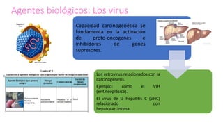 Agentes biológicos: Los virus
Capacidad carcinogenética se
fundamenta en la activación
de proto-oncogenes e
inhibidores de genes
supresores.
Los retrovirus relacionados con la
carcinogénesis.
Ejemplo: como el VIH
(enf.neoplásica).
El virus de la hepatitis C (VHC)
relacionado con
hepatocarcinoma.
 