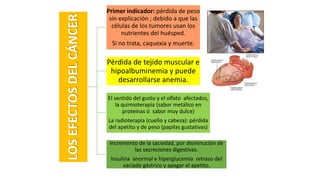 LOS
EFECTOS
DEL
CÁNCER
Primer indicador: pérdida de peso
sin explicación ; debido a que las
células de los tumores usan los
nutrientes del huésped.
Si no trata, caquexia y muerte.
Pérdida de tejido muscular e
hipoalbuminemia y puede
desarrollarse anemia.
El sentido del gusto y el olfato afectados,
la quimioterapia (sabor metálico en
proteínas ó sabor muy dulce)
La radioterapia (cuello y cabeza): pérdida
del apetito y de peso (papilas gustativas)
Incremento de la saciedad, por disminución de
las secreciones digestivas.
Insulina anormal e hiperglucemia retraso del
vaciado gástrico y apagar el apetito.
 