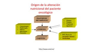 Origen de la alteración
nutricional del paciente
oncológico
http://www.uned.es/
 