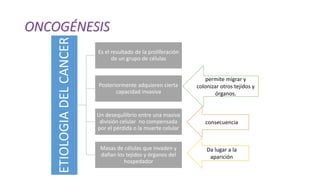 ONCOGÉNESIS
ETIOLOGIA
DEL
CANCER
Es el resultado de la proliferación
de un grupo de células
Posteriormente adquieren cierta
capacidad invasiva
Un desequilibrio entre una masiva
división celular no compensada
por el pérdida o la muerte celular
Masas de células que invaden y
dañan los tejidos y órganos del
hospedador
permite migrar y
colonizar otros tejidos y
órganos.
consecuencia
Da lugar a la
aparición
 